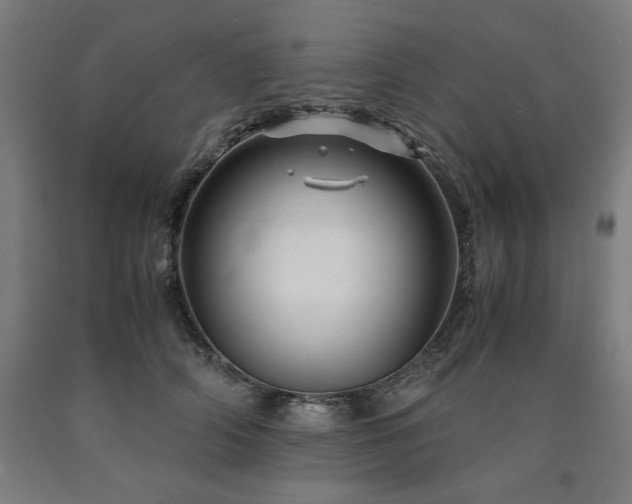 X0000090900706200707301413