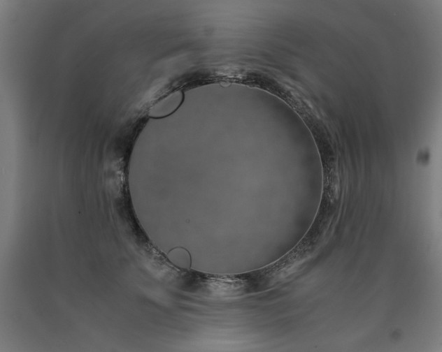 X0000090900707200707301413