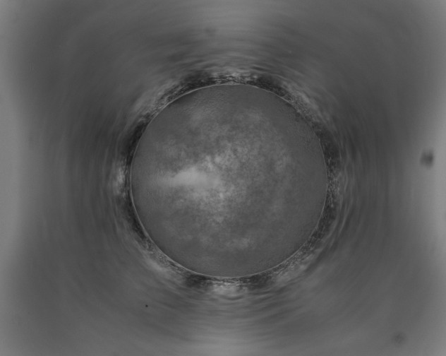 X0000090900709200707301413