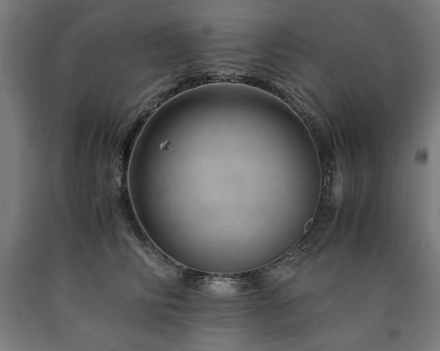 X0000090900710200707301413