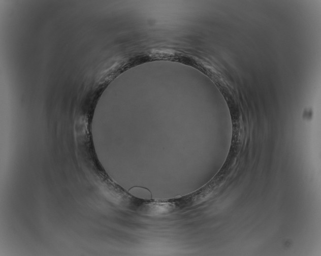 X0000090900711200707301413