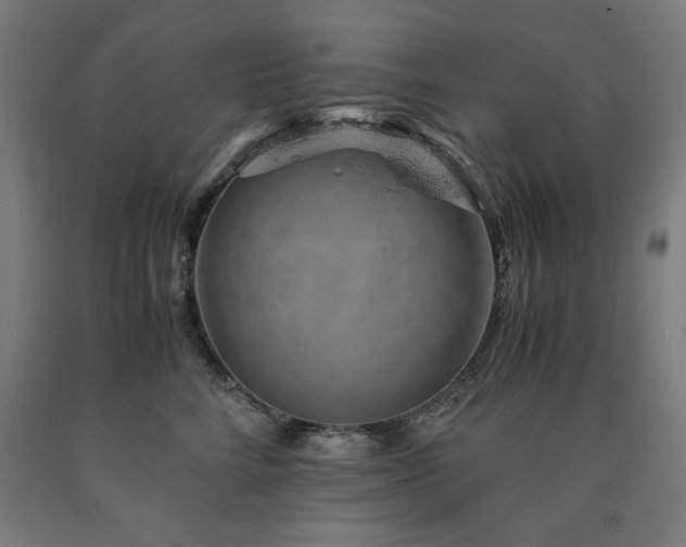 X0000090900712200707301413