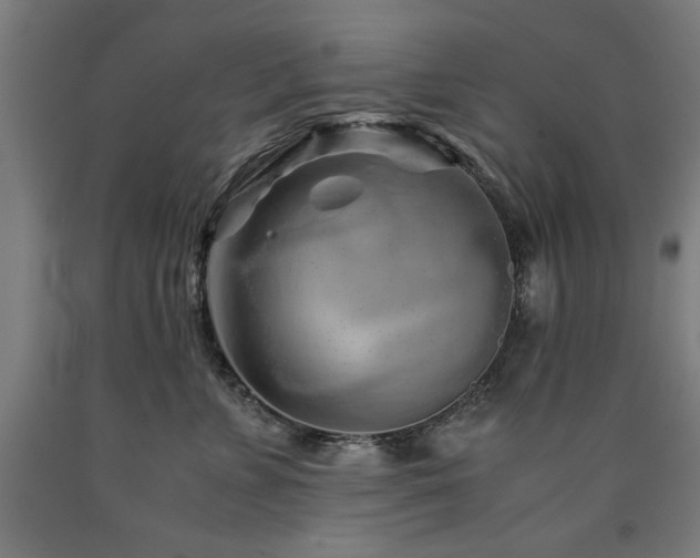 X0000090900715200707301413