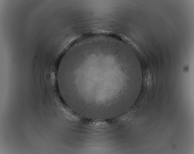 X0000090900716200707301413