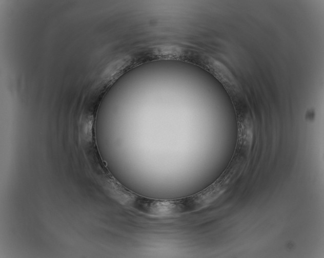X0000090900717200707301413