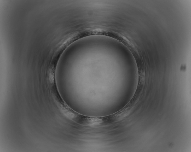 X0000090900719200707301413