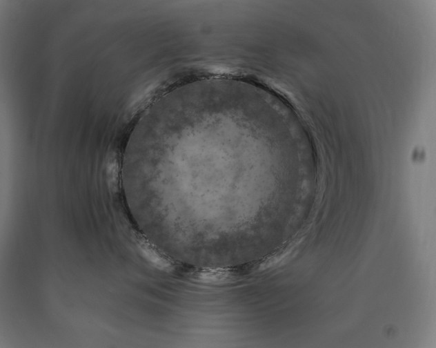 X0000090900720200707301413