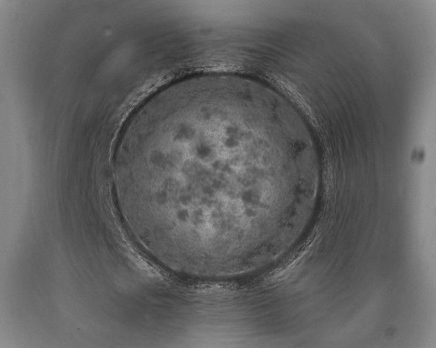 X0000090900721200707301412