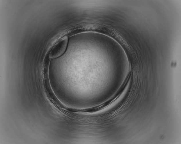 X0000090900722200707301412