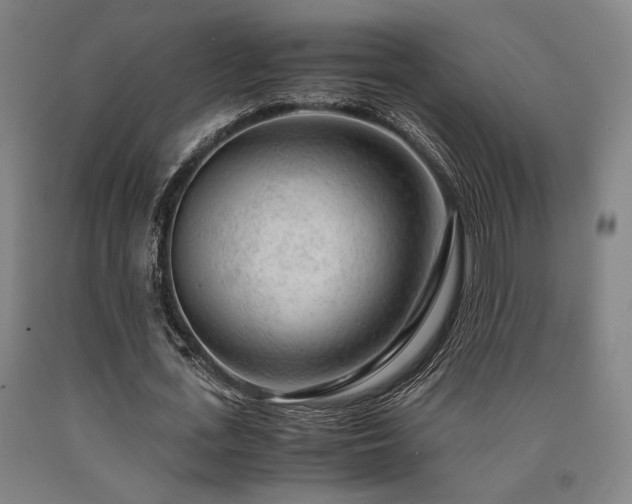 X0000090900723200707301412