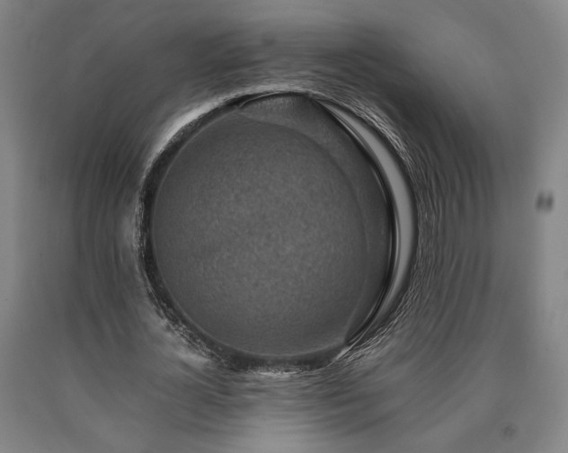X0000090900724200707301412