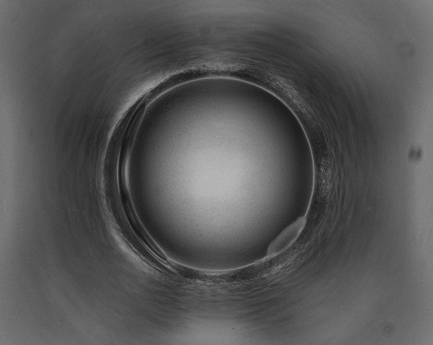 X0000090900726200707301412