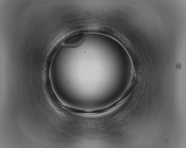 X0000090900728200707301412