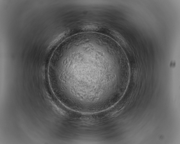 X0000090900729200707301412