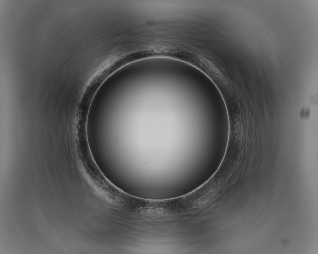 X0000090900730200707301412