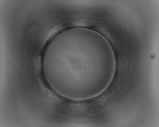 X0000090900731200707301412