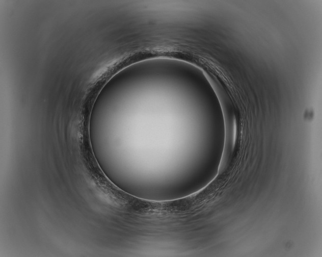 X0000090900732200707301412