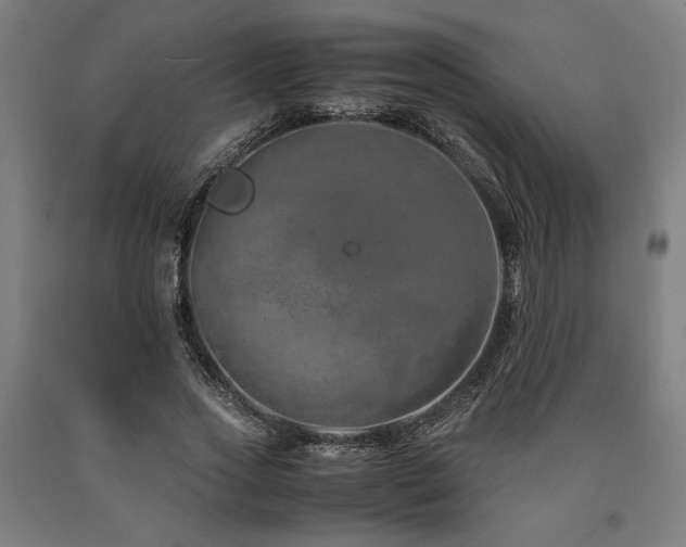 X0000090900733200707301412