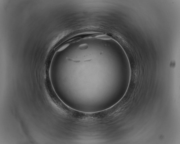 X0000090900734200707301412