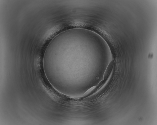 X0000090900735200707301412