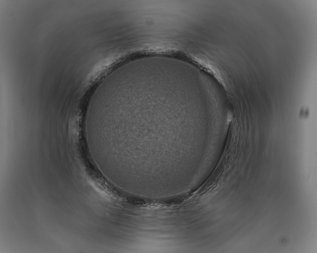 X0000090900736200707301412