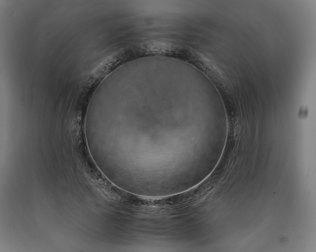 X0000090900737200707301412