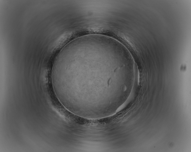 X0000090900738200707301412