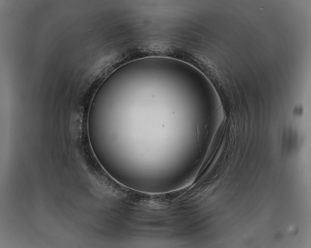 X0000090900739200707301412