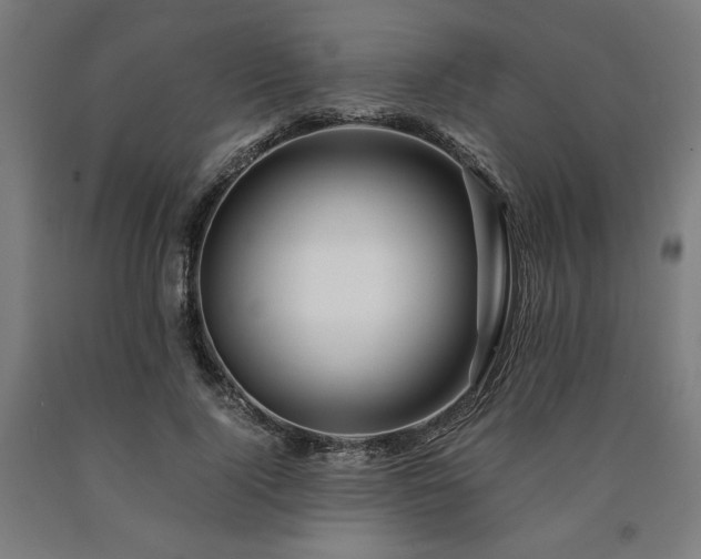 X0000090900740200707301412