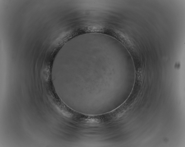 X0000090900741200707301412