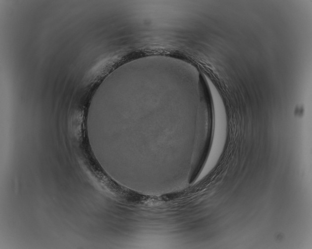 X0000090900742200707301412