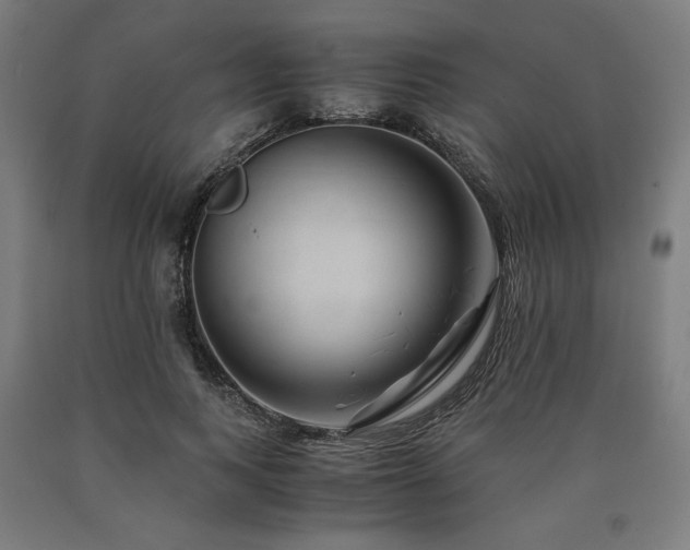 X0000090900743200707301412