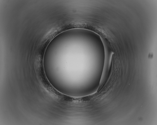 X0000090900744200707301412