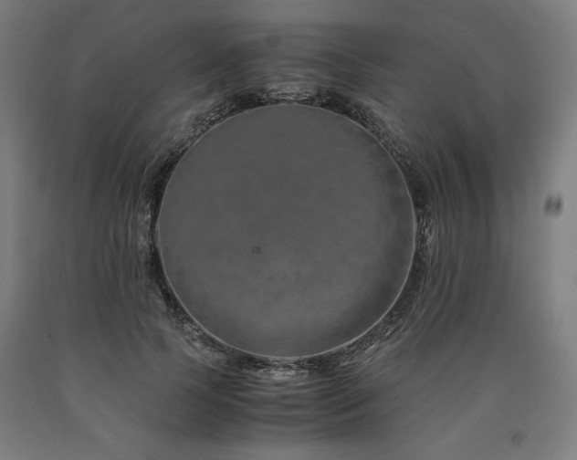 X0000090900745200707301412
