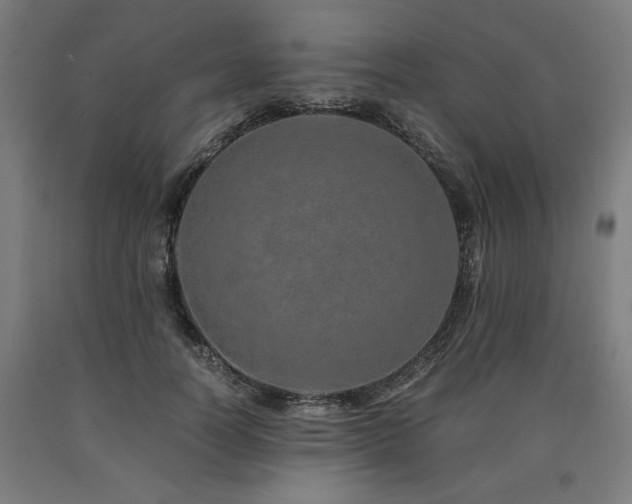 X0000090900746200707301412
