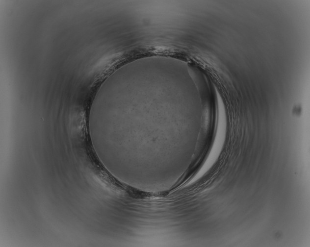 X0000090900748200707301412