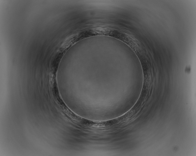 X0000090900749200707301412