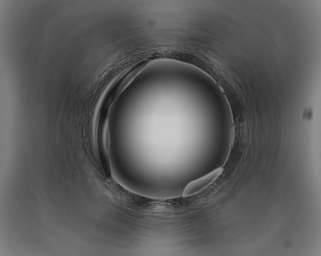 X0000090900750200707301412