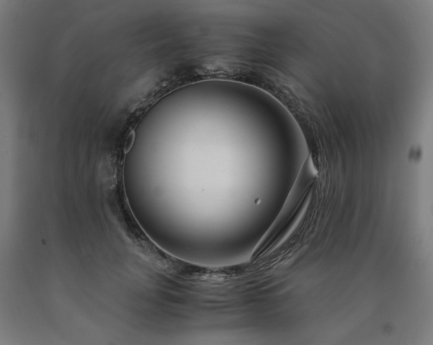 X0000090900751200707301412