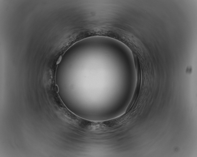X0000090900752200707301412