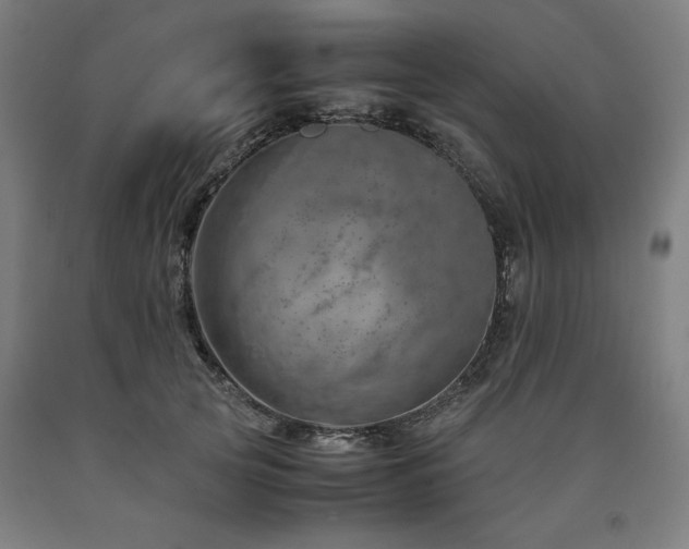 X0000090900753200707301412