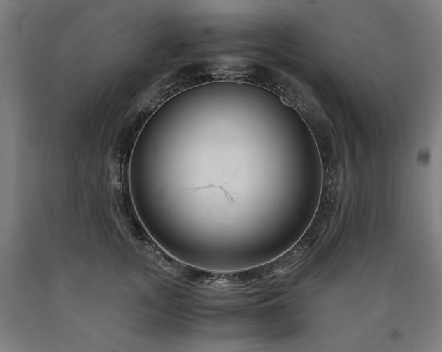 X0000090900755200707301412
