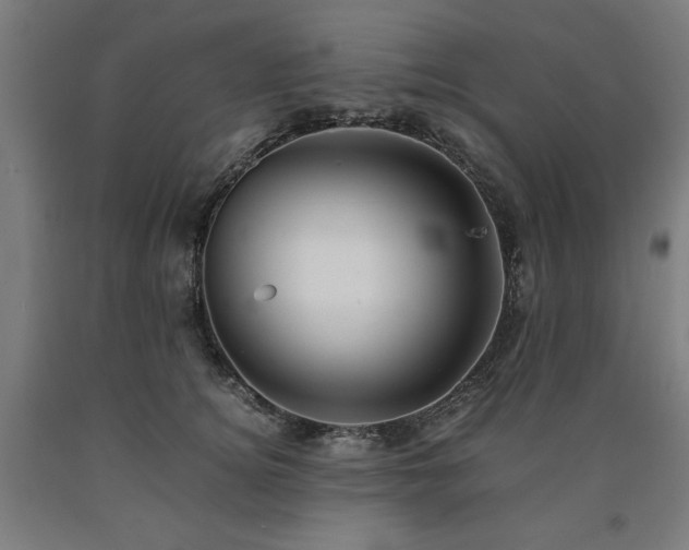 X0000090900756200707301413