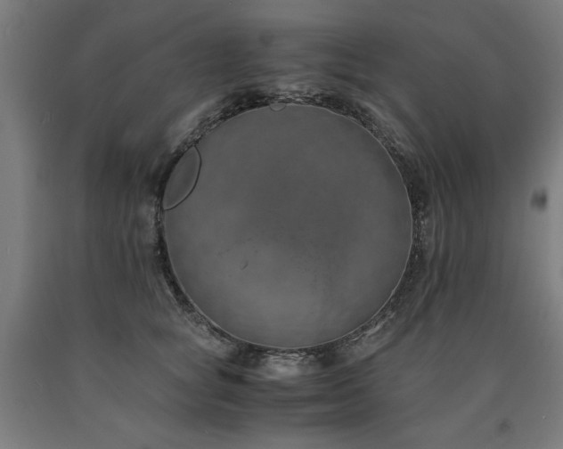 X0000090900757200707301413