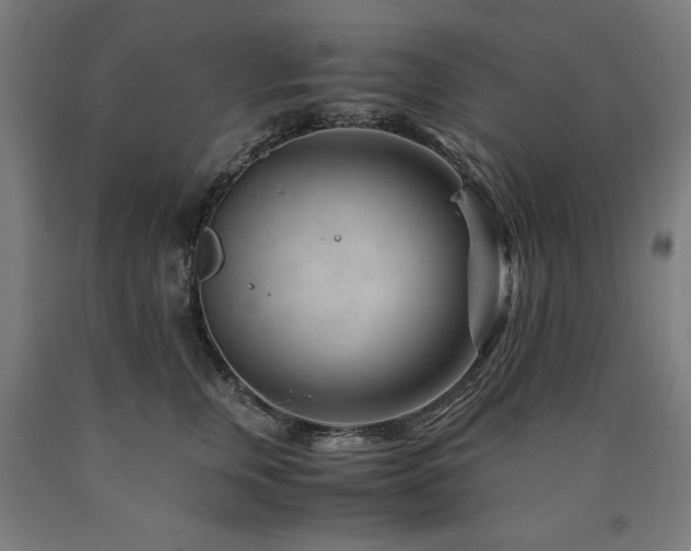 X0000090900759200707301413