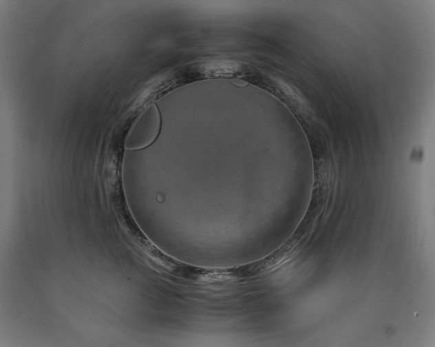 X0000090900761200707301413