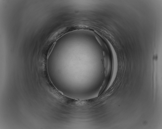 X0000090900762200707301413