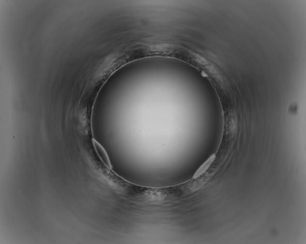 X0000090900764200707301413