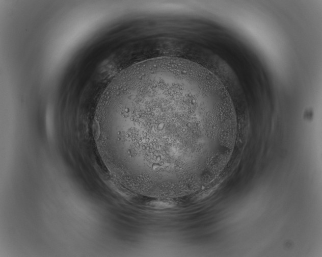 X0000090900765200707301413