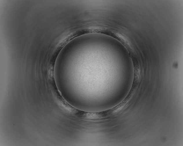 X0000090900766200707301413